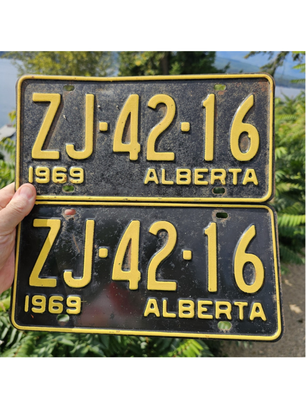 1969 Alberta License Plate Pair Matching ZJ-42-16 Vintage Black Yellow Plates